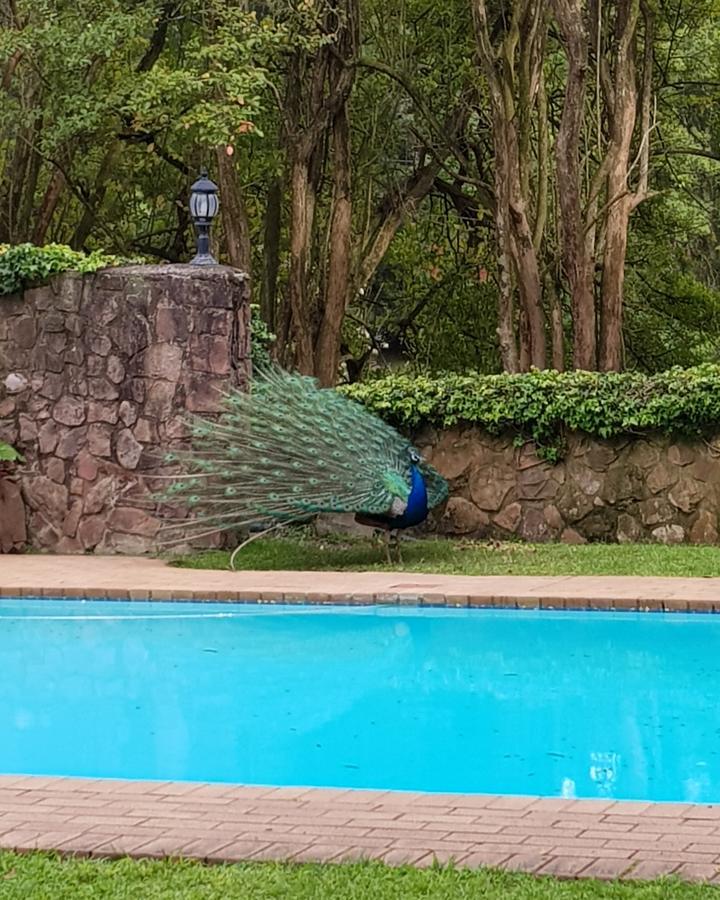 Chantecler Hotel Botha's Hill Exterior foto